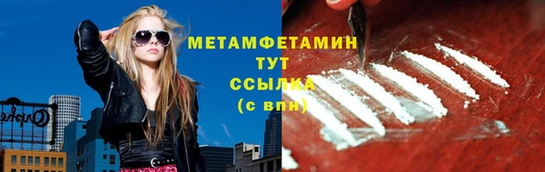 индика Володарск