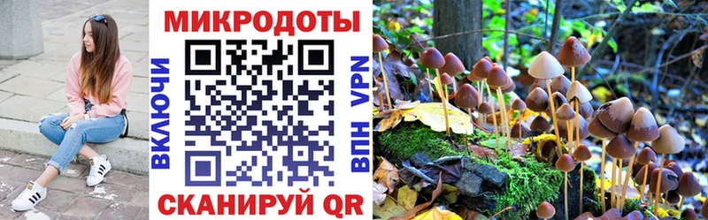 купить   Зуевка  Галлюциногенные грибы мухоморы 